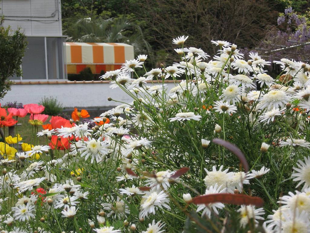 Hillside Inn Sirocco Tateyama  Buitenkant foto