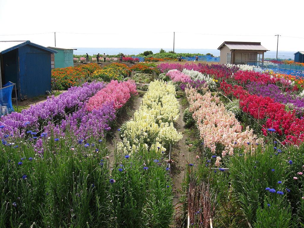 Hillside Inn Sirocco Tateyama  Buitenkant foto